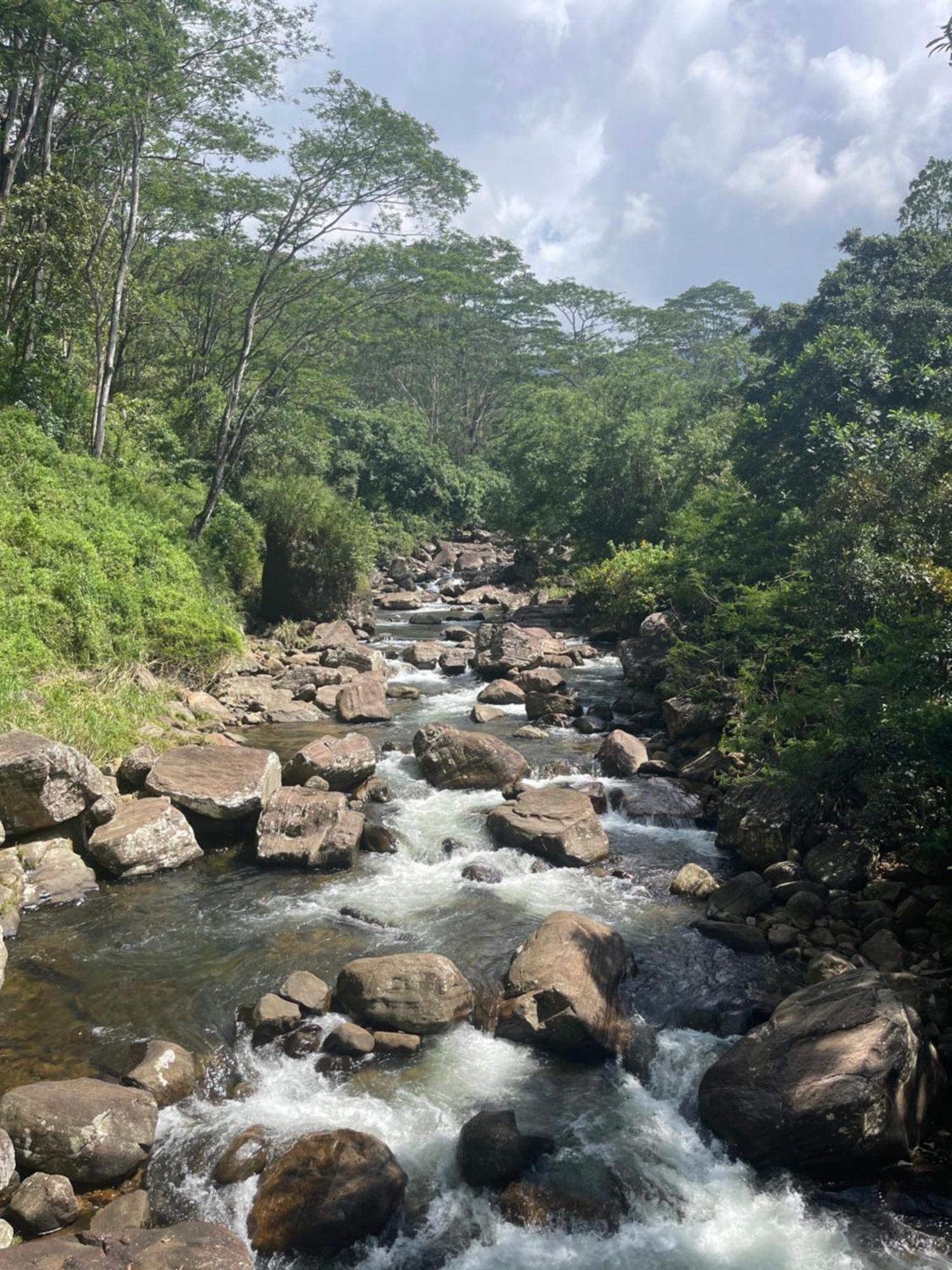 Eagles Lodge - Kandy Digana Zewnętrze zdjęcie