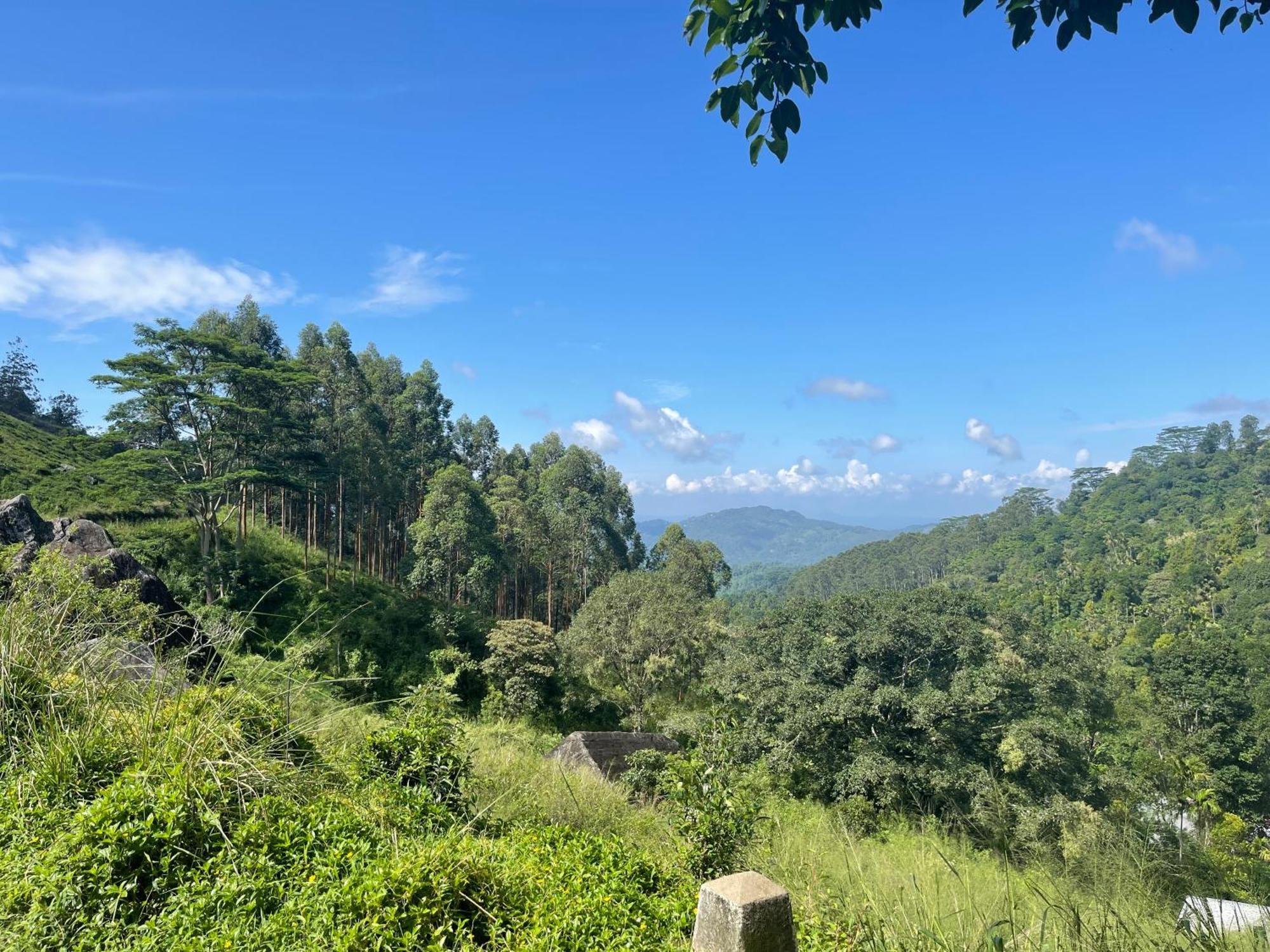 Eagles Lodge - Kandy Digana Zewnętrze zdjęcie