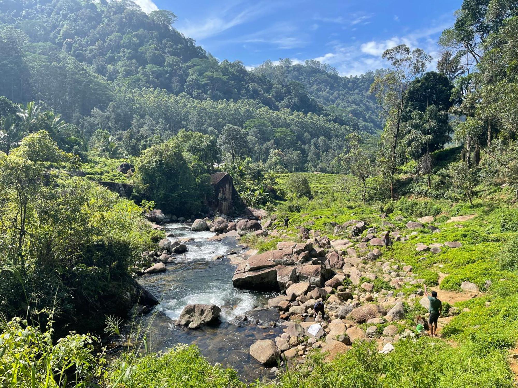 Eagles Lodge - Kandy Digana Zewnętrze zdjęcie